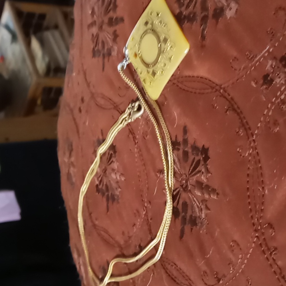 Long chain with shell pendant